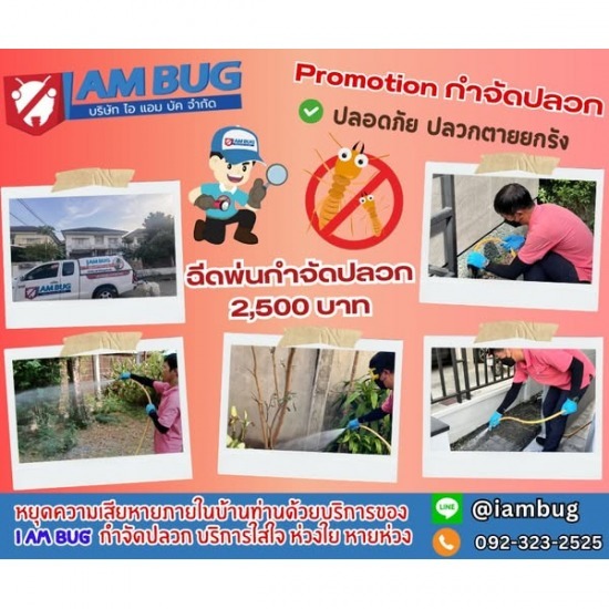กำจัดปลวก เหยื่อกำจัดปลวก ปทุมธานี - ไอ แอม บัก - กำจัดปลวก ปทุมธานี