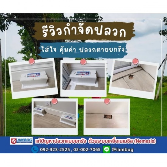 กำจัดปลวก เหยื่อกำจัดปลวก ปทุมธานี - ไอ แอม บัก - บริษัทกำจัดปลวก ราคาถูก กำจัดปลวก เหยื่อกำจัดปลวก ปทุมธานี - ไอ แอม บัก - บริษัทกำจัดปลวก ราคาถูก