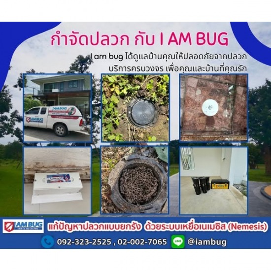 กำจัดหนู ราคาถูก กำจัดหนู ราคาถูก  กำจัดปลวกนวนคร  รับวางเหยื่อล่อปลวก รังสิต  กำจัดหนู นนทบุรี  กำจัดหนู รังสิต  กำจัดหนู ปทุมธานี  บริษัทกำจัดหนู อยุธยา  บริษัทกำจัดแมลง  รับกำจัดหนู  กำจัดหนู ลำลูกกา 