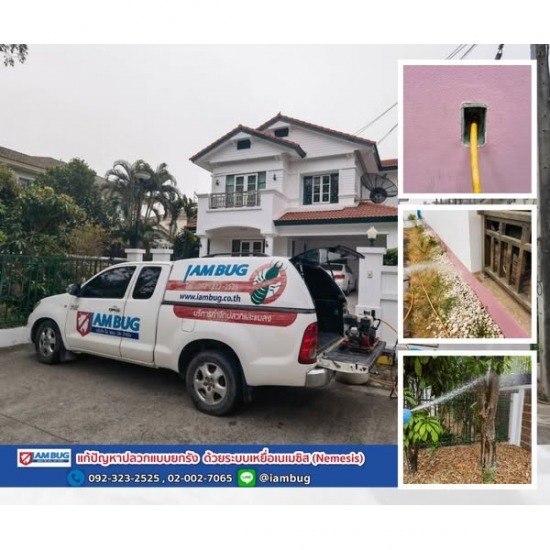 รับฉีดกำจัดปลวก ปทุมธานี เหยื่อล่อปลวกปทุมธานี  เหยื่อล่อปลวกลำลูกกา  รับฉีดกำจัดปลวก ปทุมธานี  รับฉีดกำจัดปลวก ลำลูกกา  รับฉีดกำจัดปลวก ธัญบุรี  รับฉีดกำจัดปลวก ใกล้ฉัน  รับฉีดกำจัดปลวก ราคา  รับฉีดปลวก ปทุมธานี  รับฉีดกำจัดปลวก นนทบุรี  บริษัทรับฉีดกำจัดปลวก 