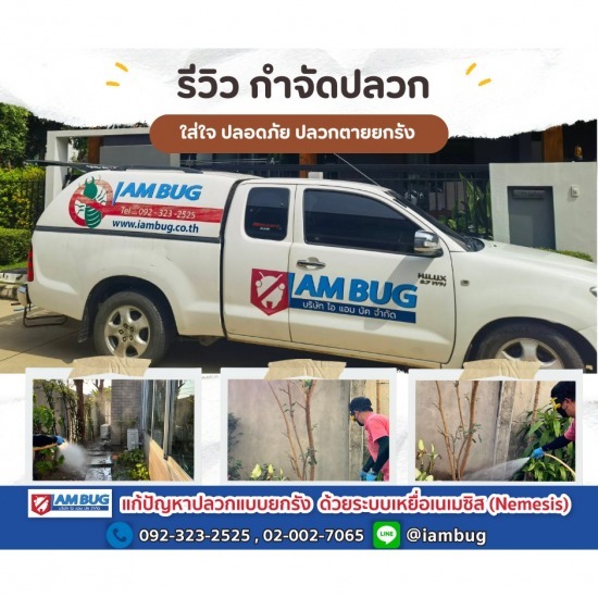 กำจัดปลวก เหยื่อกำจัดปลวก ปทุมธานี - ไอ แอม บัก - บริษัทกำจัดแมลงสาบรังสิต กำจัดปลวก เหยื่อกำจัดปลวก ปทุมธานี - ไอ แอม บัก - บริษัทกำจัดแมลงสาบรังสิต
