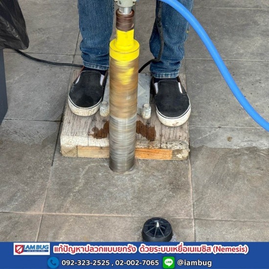 กำจัดปลวก เหยื่อกำจัดปลวก ปทุมธานี - ไอ แอม บัก - กำจัดปลวก นนทบุรี กำจัดปลวก เหยื่อกำจัดปลวก ปทุมธานี - ไอ แอม บัก - กำจัดปลวก นนทบุรี