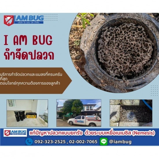กำจัดปลวก เหยื่อกำจัดปลวก ปทุมธานี - ไอ แอม บัก - กำจัดปลวกยกรัง ลำลูกกา