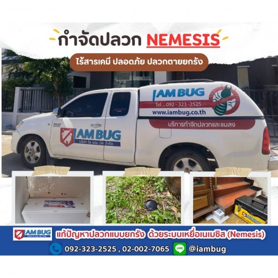 กำจัดปลวก เหยื่อกำจัดปลวก ปทุมธานี - ไอ แอม บัก - ฉีดปลวกที่ไหนดี