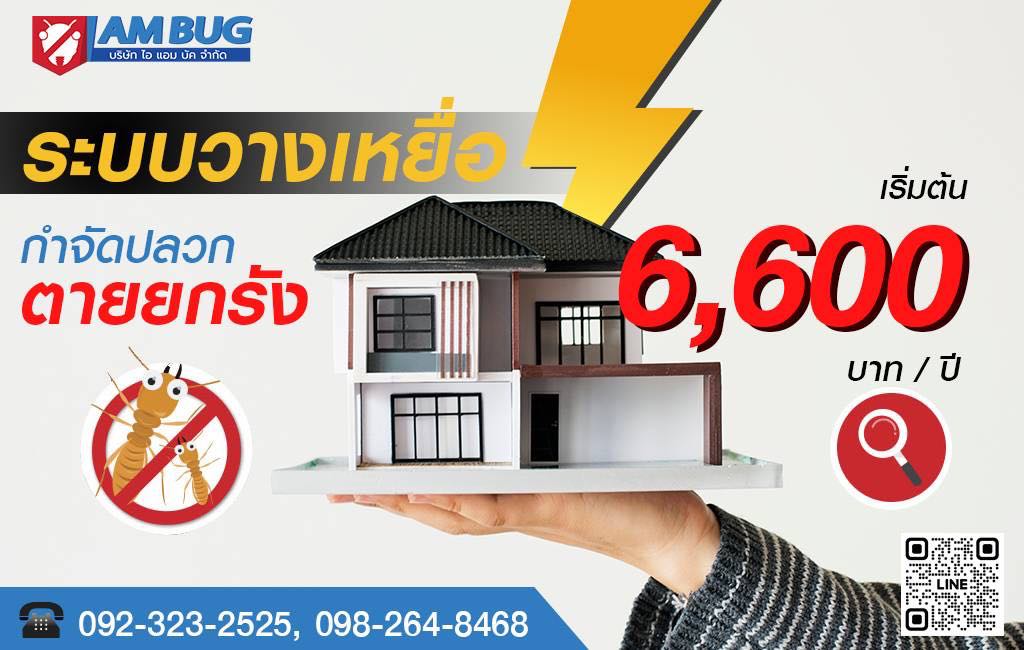 กำจัดปลวก ปทุมธานี_0
