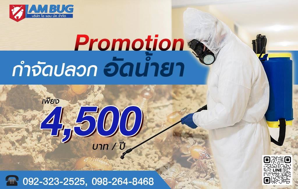 กำจัดปลวกใกล้ฉัน