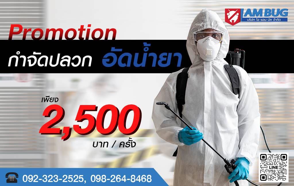 บริษัทฉีดปลวกใกล้ฉัน