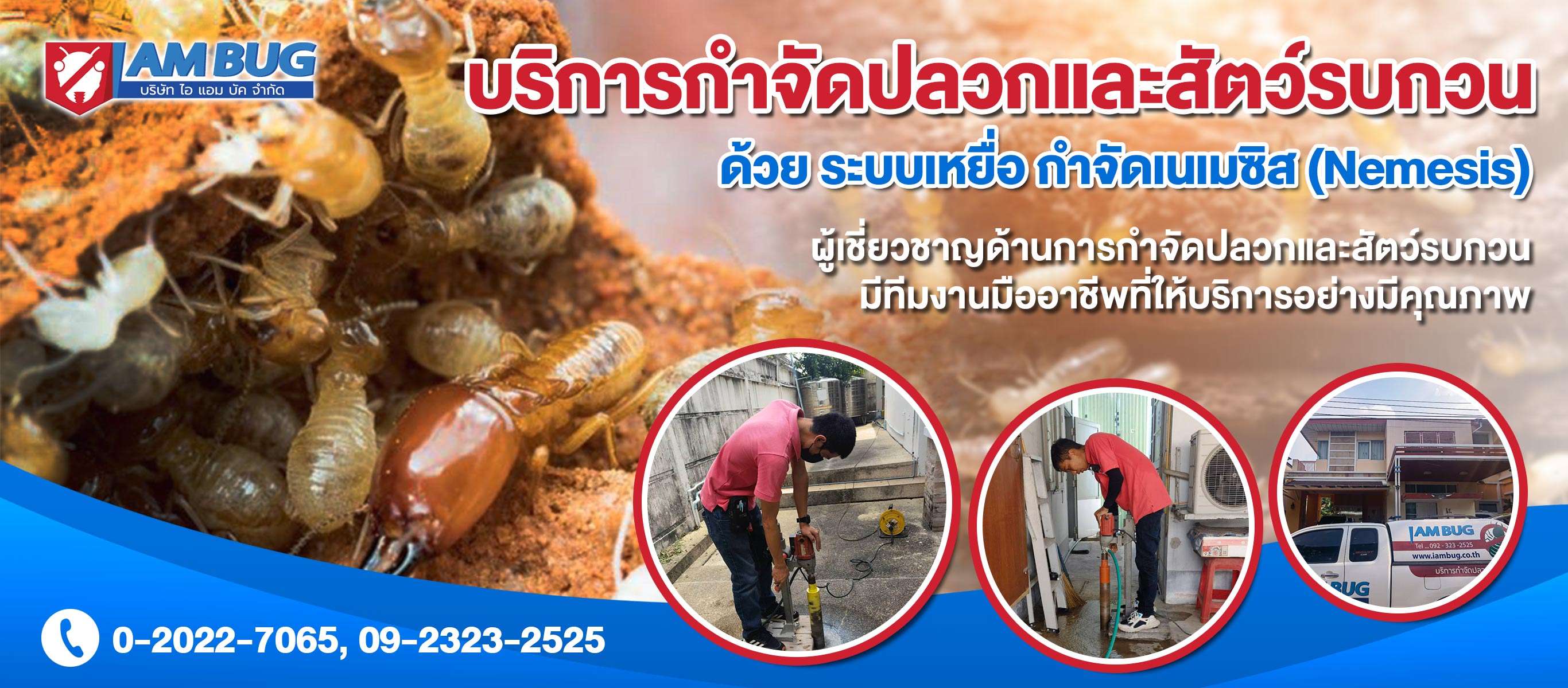 บริษัทกำจัดปลวก ปทุมธานี ไอ แอม บัก